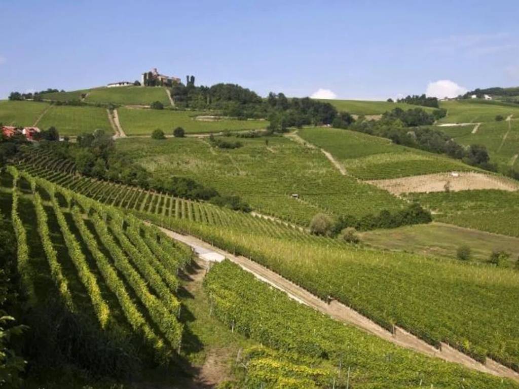 terreno agricolo in vendita a Casteggio