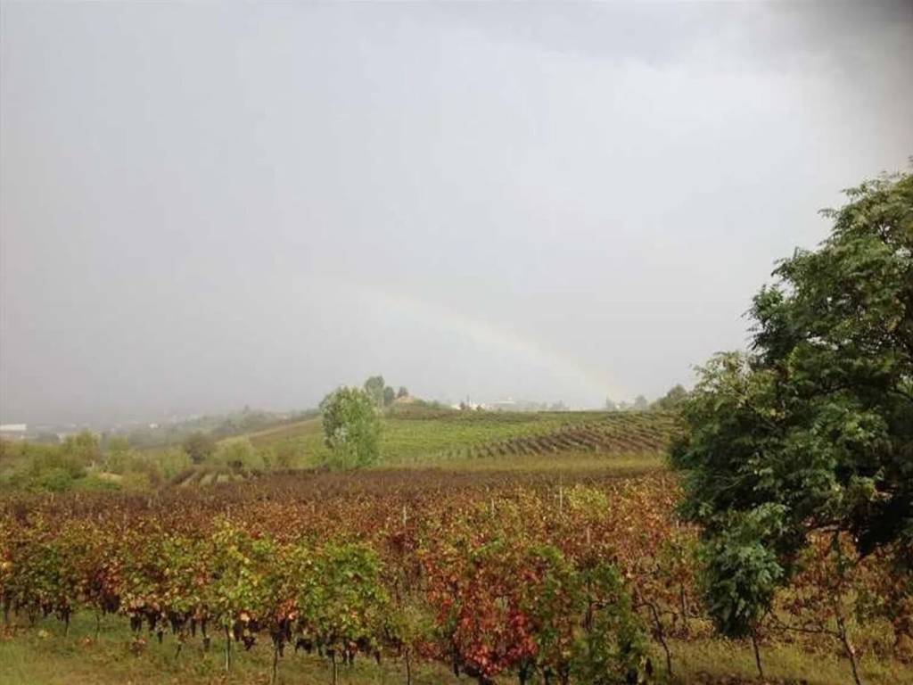negozio in vendita a Casteggio