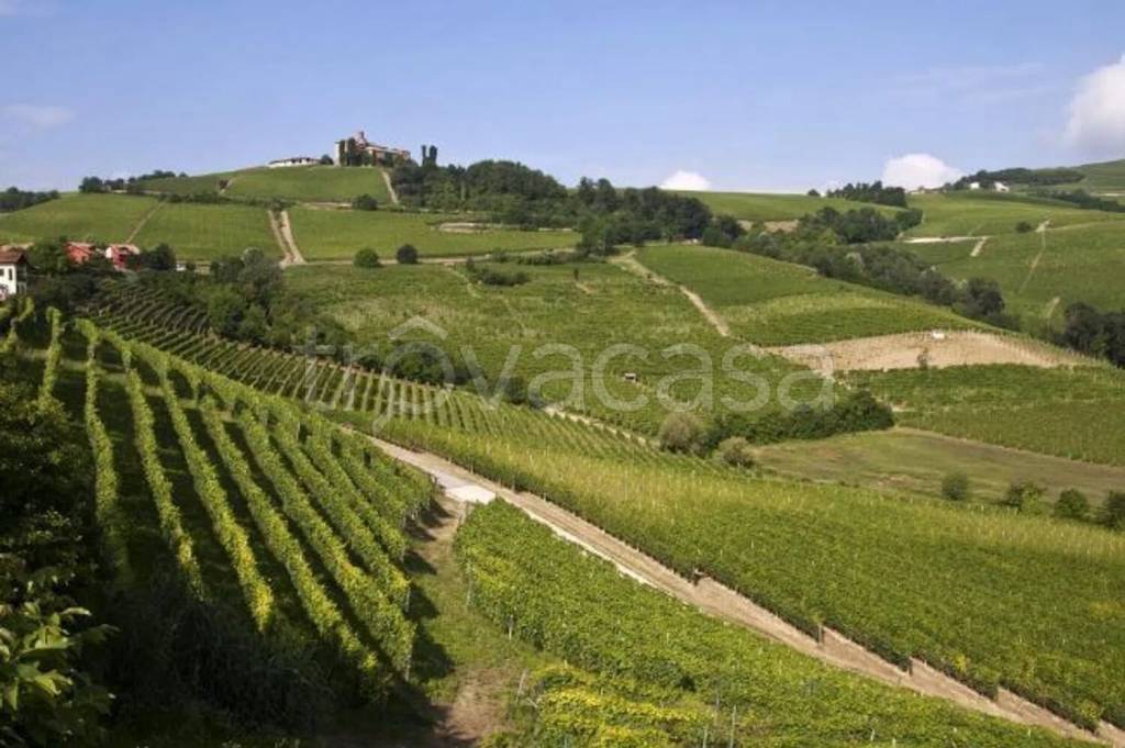 terreno agricolo in vendita a Casteggio