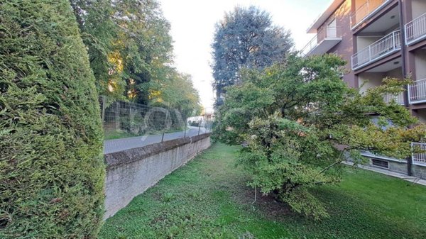 immagine annuncio 0 di 15