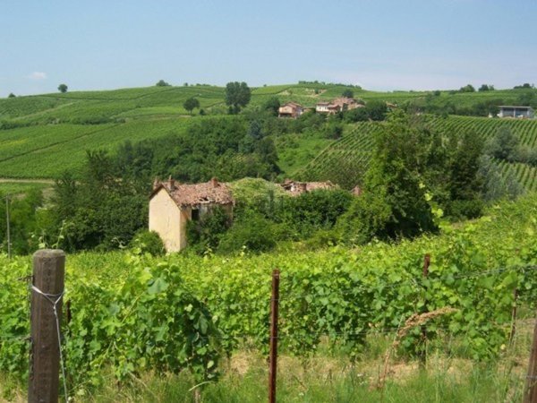 azienda agricola in vendita a Casteggio