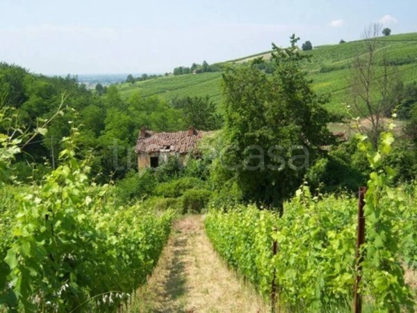 immagine annuncio 0 di 15