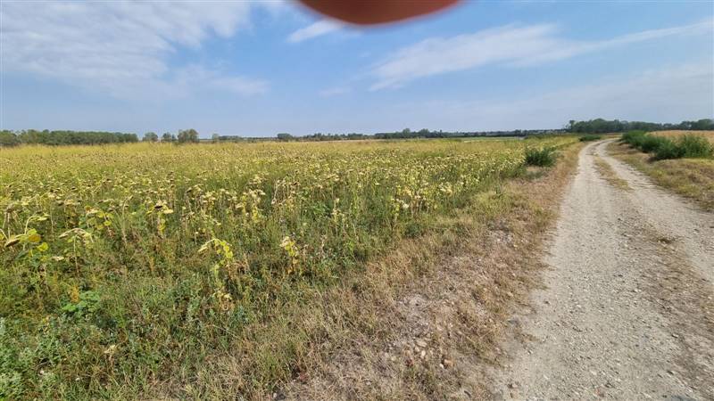 terreno agricolo in vendita a Casteggio