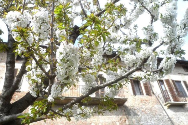 casa indipendente in vendita a Casteggio
