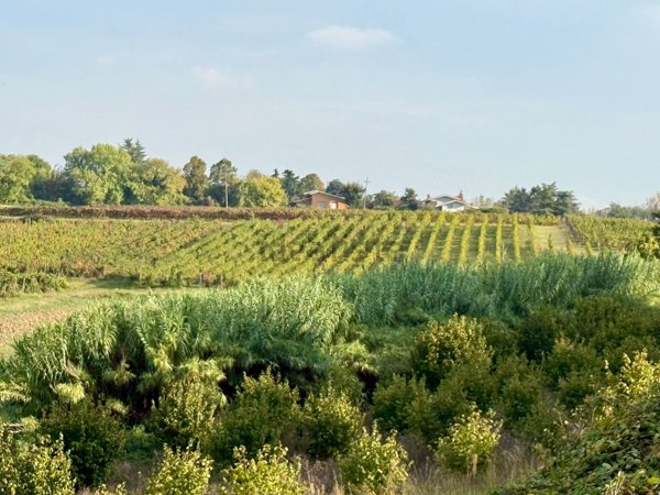 terreno in vendita a Casteggio