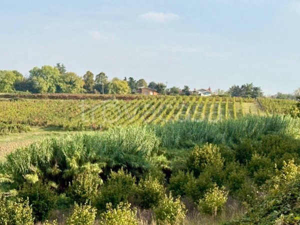 immagine annuncio 0 di 13