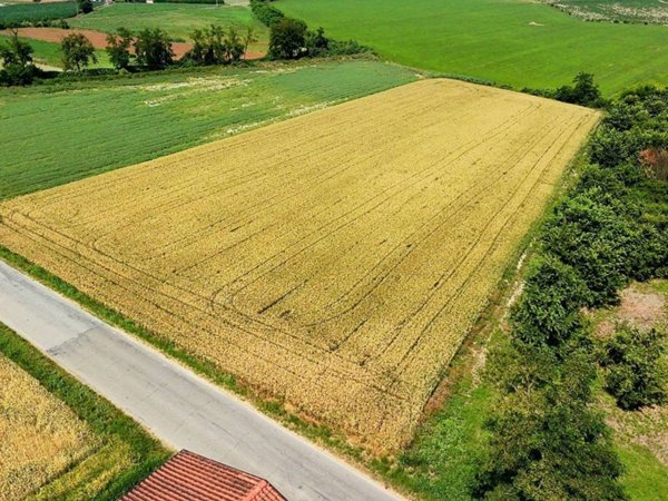 terreno edificabile in vendita a Castelletto di Branduzzo in zona Case Nuove
