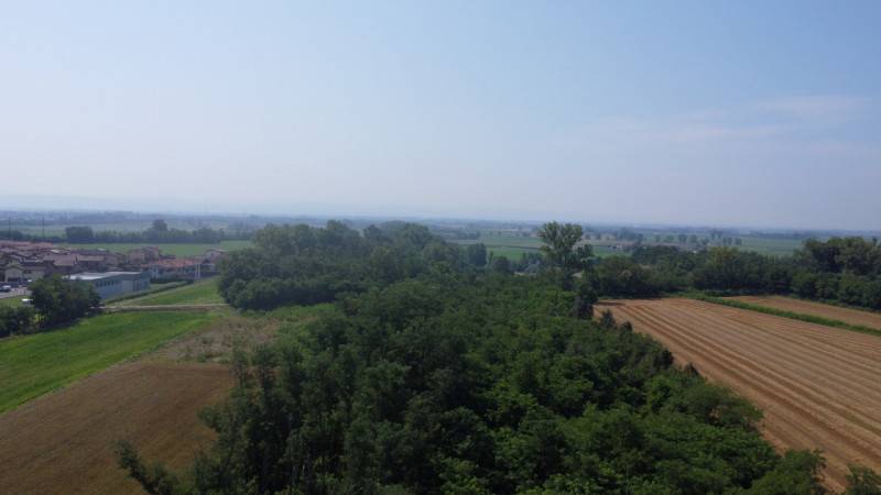 terreno agricolo in vendita a Cava Manara