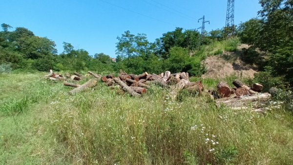 terreno agricolo in vendita a Cava Manara
