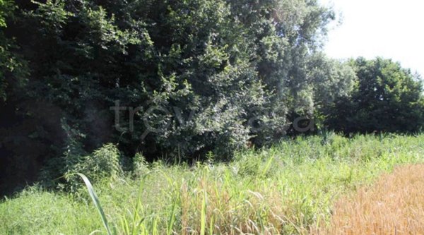 terreno agricolo in vendita a Cava Manara