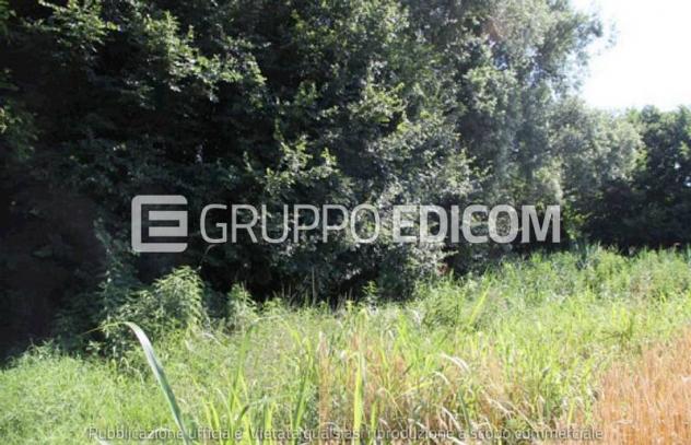 terreno agricolo in vendita a Cava Manara