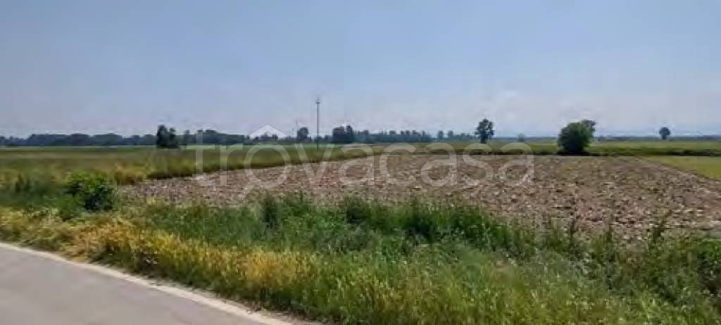 terreno agricolo in vendita a Cava Manara