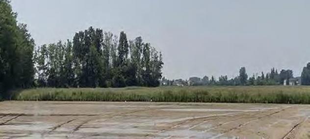 terreno agricolo in vendita a Cava Manara