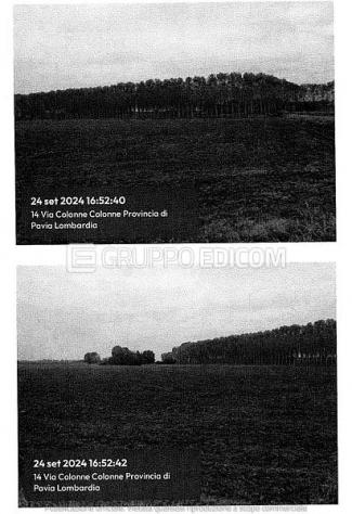 terreno agricolo in vendita a Cava Manara