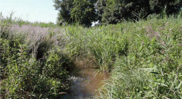 terreno agricolo in vendita a Cava Manara