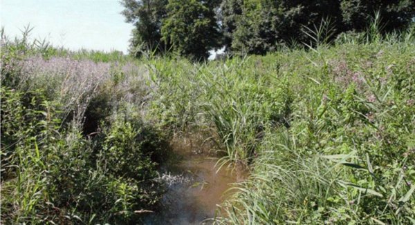 terreno agricolo in vendita a Cava Manara
