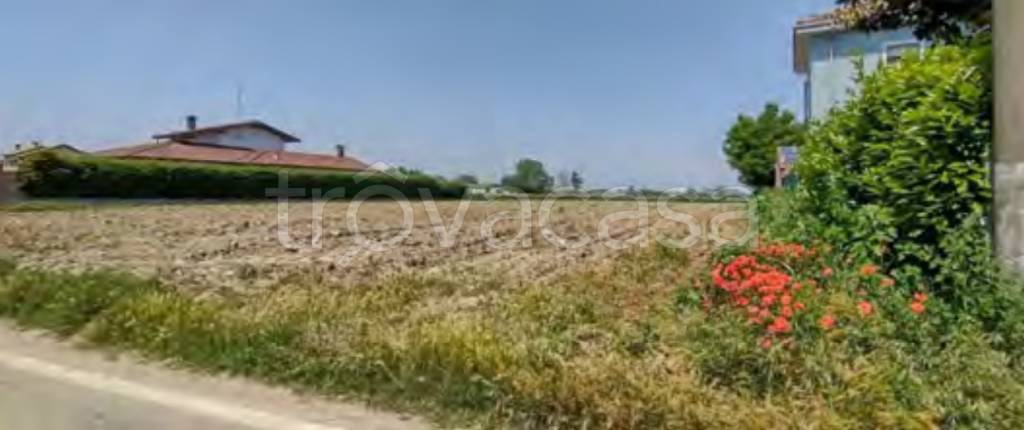 terreno agricolo in vendita a Cava Manara