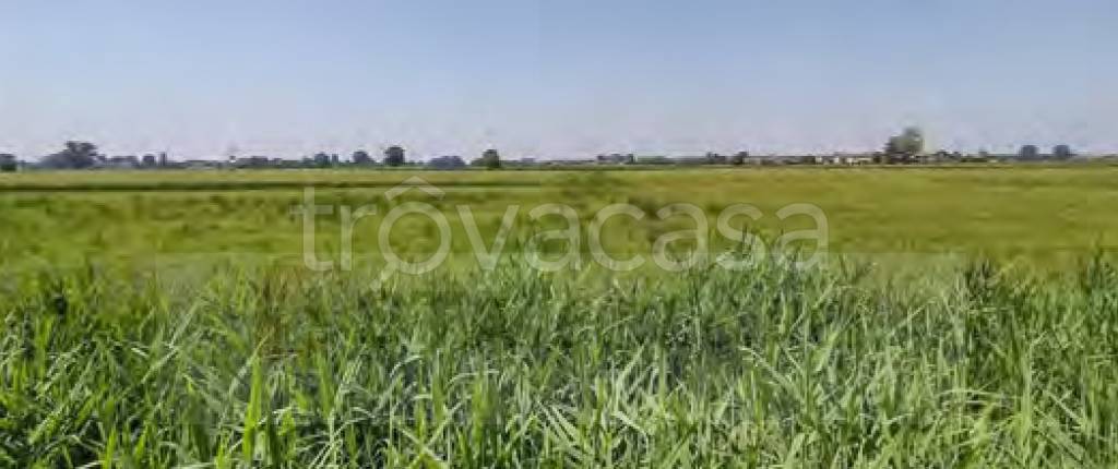 terreno agricolo in vendita a Cava Manara