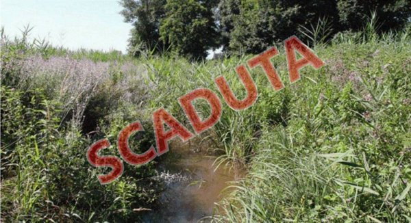 terreno agricolo in vendita a Cava Manara