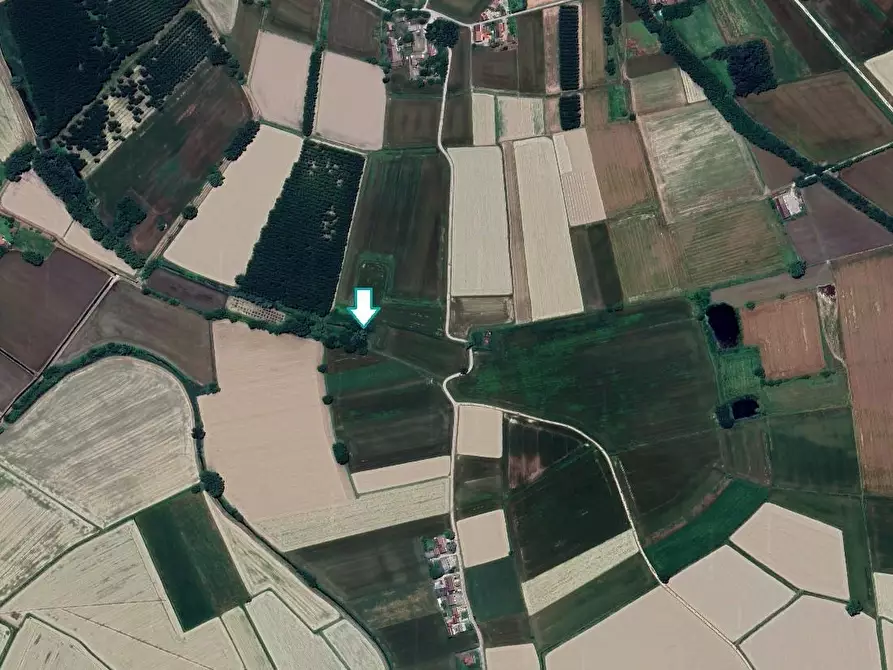 terreno agricolo in vendita a Cava Manara