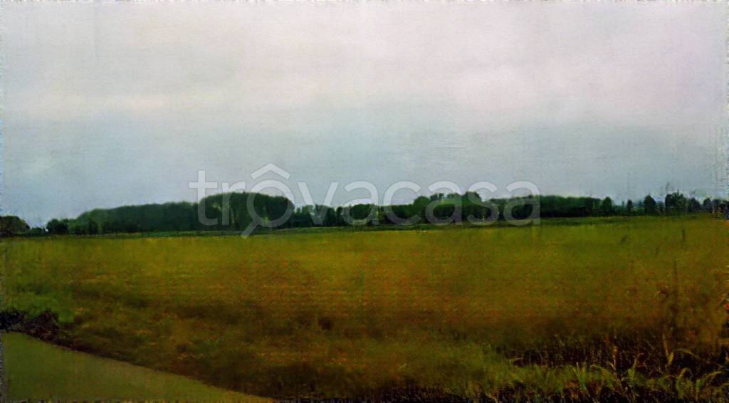 terreno agricolo in vendita a Cava Manara