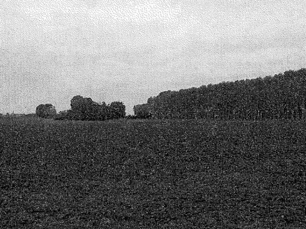 terreno agricolo in vendita a Cava Manara