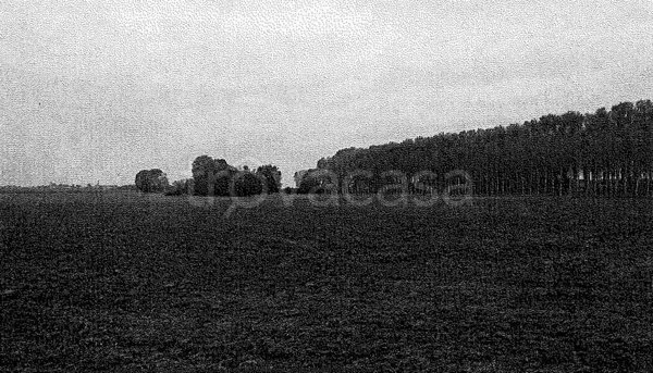 appartamento in vendita a Cava Manara