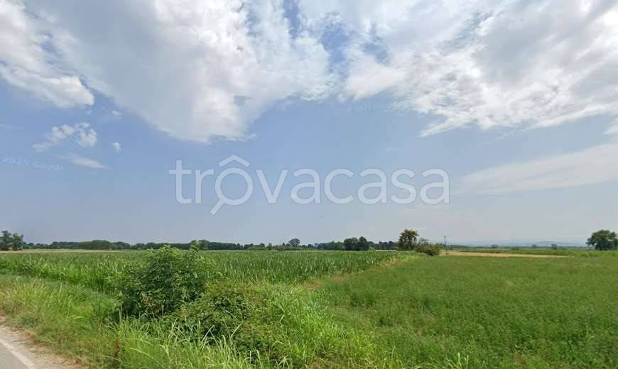 terreno agricolo in vendita a Cava Manara