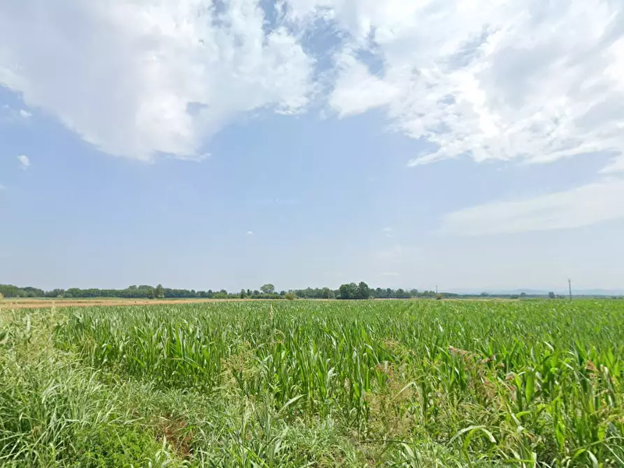 terreno edificabile in vendita a Cava Manara