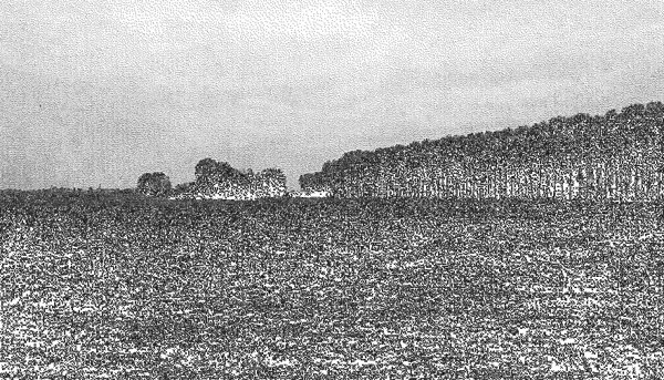 terreno agricolo in vendita a Cava Manara