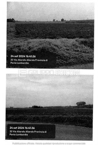 terreno agricolo in vendita a Cava Manara