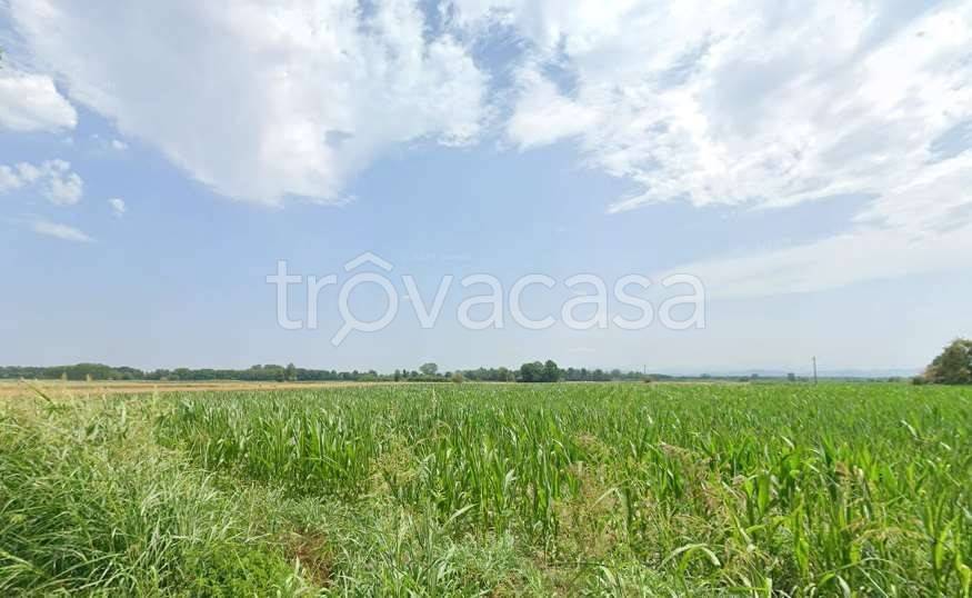 terreno agricolo in vendita a Cava Manara