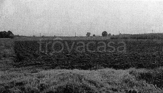 terreno agricolo in vendita a Cava Manara