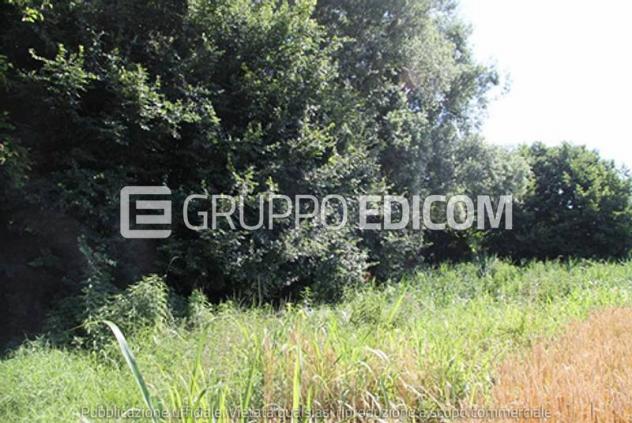 terreno agricolo in vendita a Cava Manara