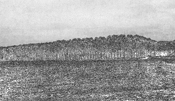 terreno agricolo in vendita a Cava Manara