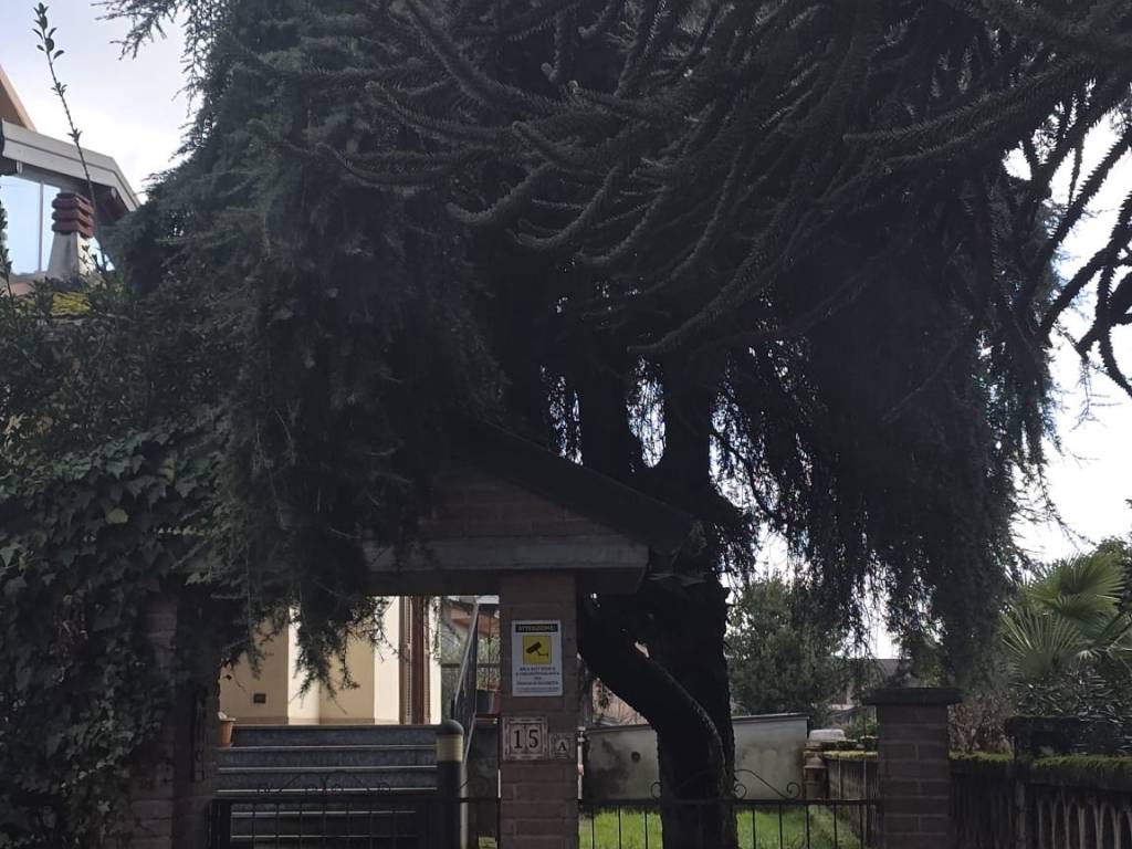 casa indipendente in vendita a Ceranova in zona San Rocco