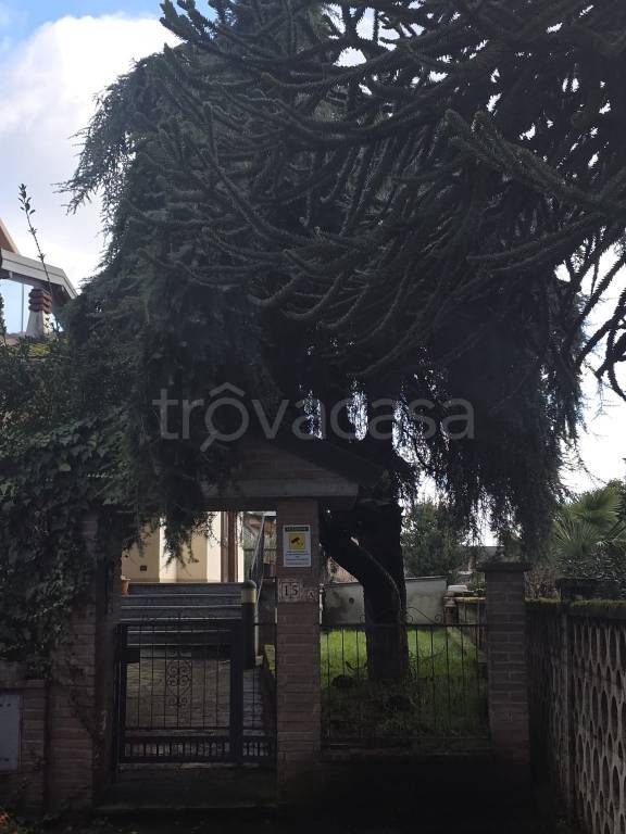 casa indipendente in vendita a Ceranova in zona San Rocco