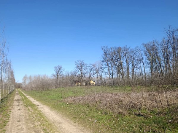 terreno agricolo in vendita a Cergnago