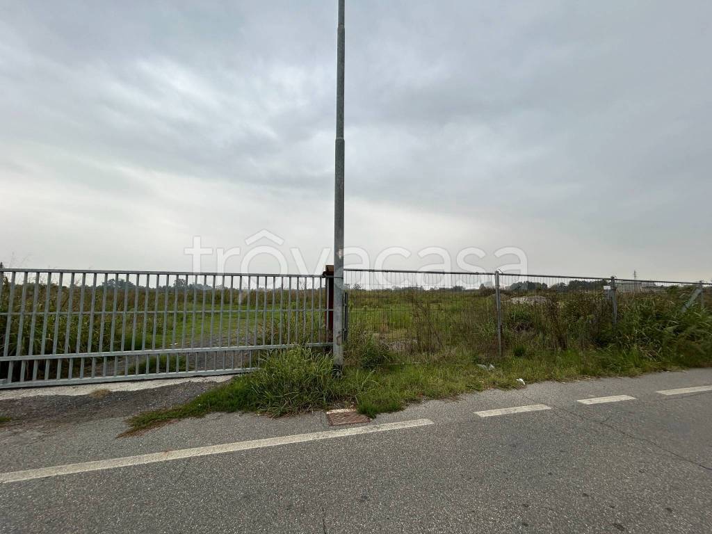 terreno agricolo in vendita a Certosa di Pavia