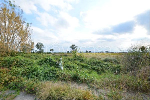 terreno agricolo in vendita a Chignolo Po