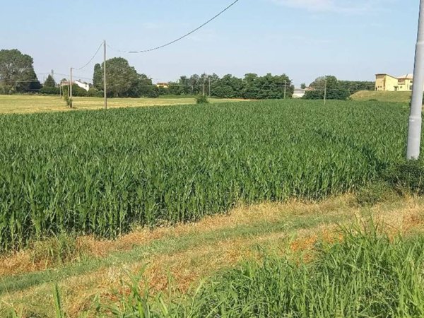 terreno agricolo in vendita a Chignolo Po