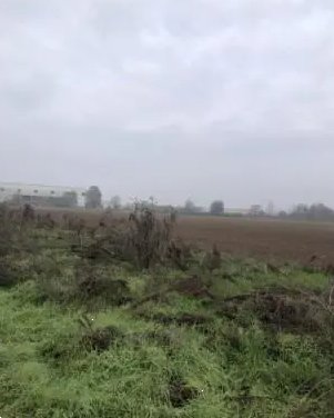 terreno agricolo in vendita a Chignolo Po