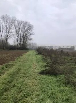terreno agricolo in vendita a Chignolo Po