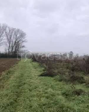 terreno agricolo in vendita a Chignolo Po
