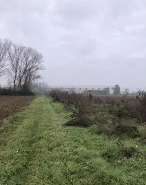 terreno agricolo in vendita a Chignolo Po