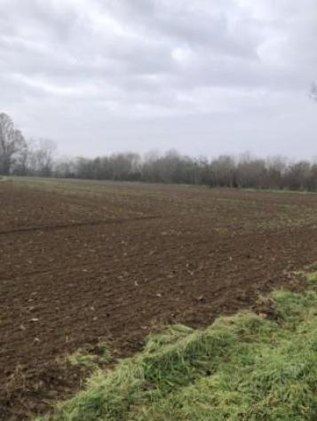 casa indipendente in vendita a Chignolo Po