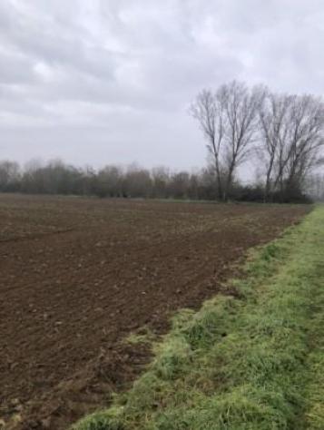 terreno agricolo in vendita a Chignolo Po