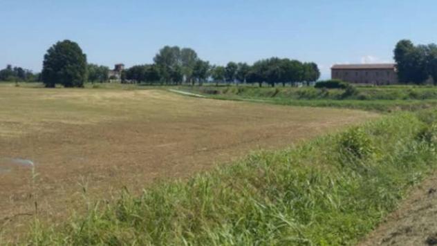 terreno agricolo in vendita a Chignolo Po