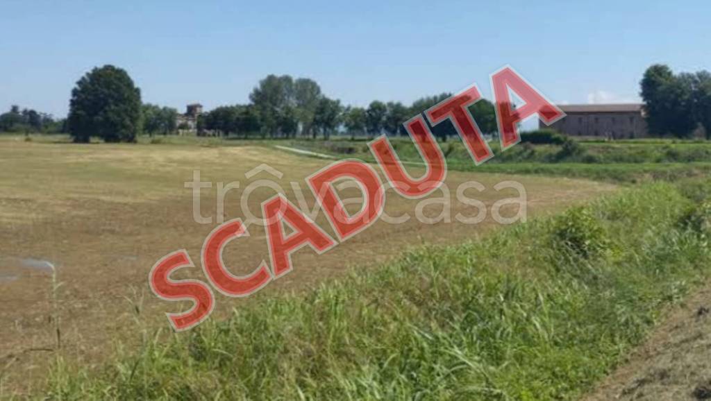 terreno agricolo in vendita a Chignolo Po
