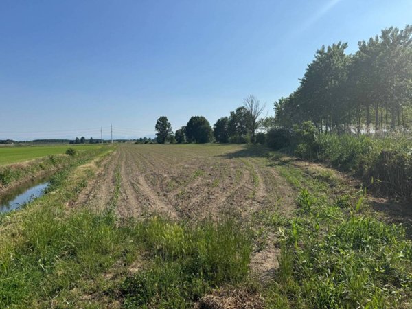 terreno agricolo in vendita a Chignolo Po in zona Cantonale